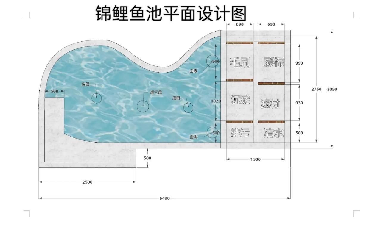 祥龍魚場的加盟流程是怎樣的？，祥龍魚場的加盟流程是怎樣的祥龍魚場加盟流程是怎樣的