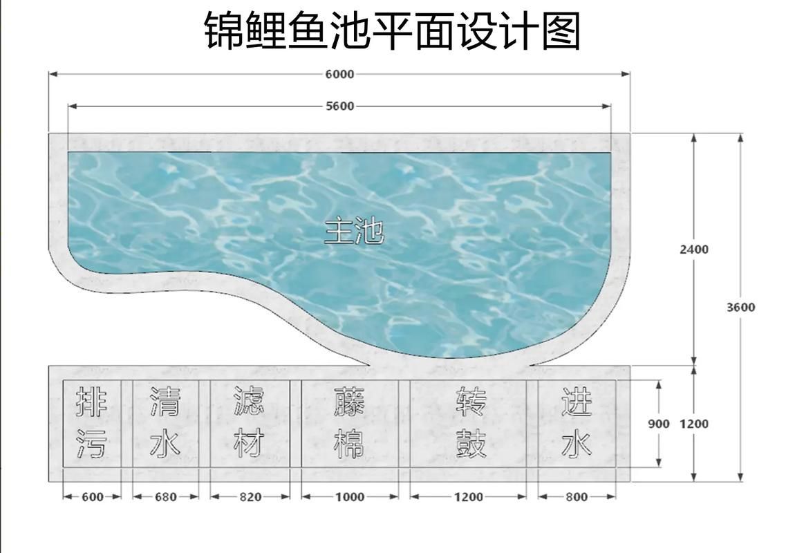 祥龍魚場的加盟流程是怎樣的？，祥龍魚場的加盟流程是怎樣的祥龍魚場加盟流程是怎樣的