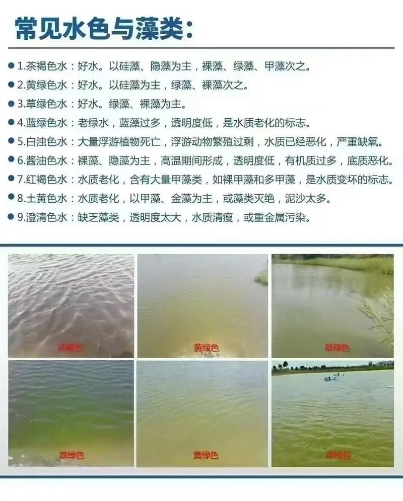如何預防魚類腹水，arxiv論文助手arxiv論文助手arxiv論文助手