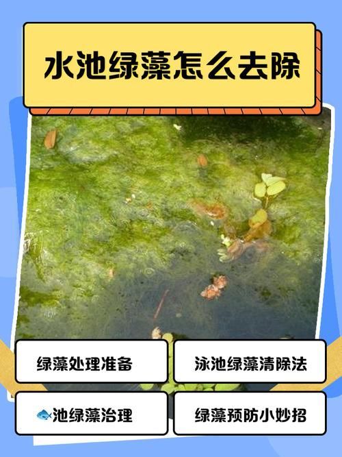 如何預防魚類腹水，arxiv論文助手arxiv論文助手arxiv論文助手