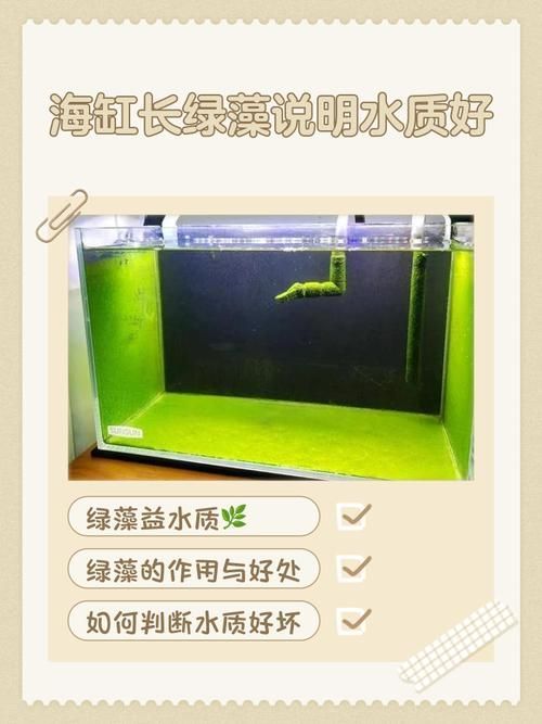 如何預防魚類腹水，arxiv論文助手arxiv論文助手arxiv論文助手