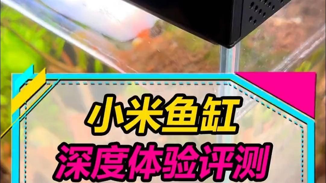 有哪些優質魚缸品牌推薦