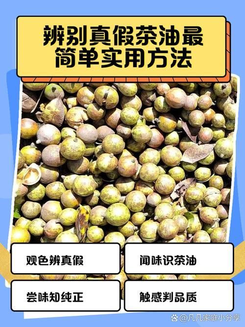 如何辨別金龍魚稻米油和山茶油的真偽，如何辨別金龍魚稻米油與山茶油的真偽