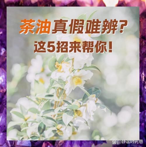 如何辨別金龍魚稻米油和山茶油的真偽，如何辨別金龍魚稻米油與山茶油的真偽