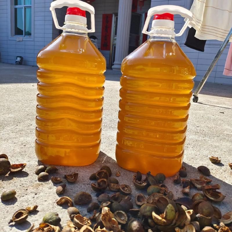 如何辨別金龍魚稻米油和山茶油的真偽，如何辨別金龍魚稻米油與山茶油的真偽