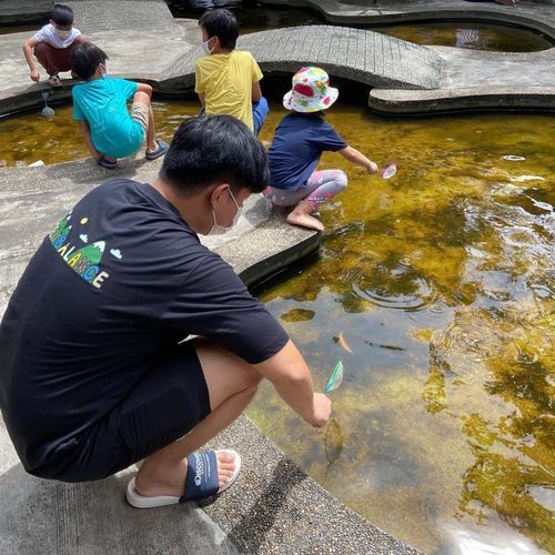 冠軍血統(tǒng)金龍魚有哪些著名漁場(chǎng),冠軍血統(tǒng)金龍魚的著名漁場(chǎng)