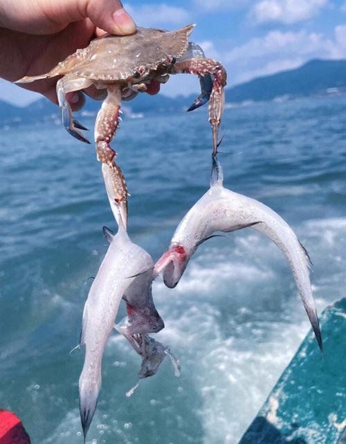 補魚時需要注意哪些事項，補魚時需要注意以下幾個事項，