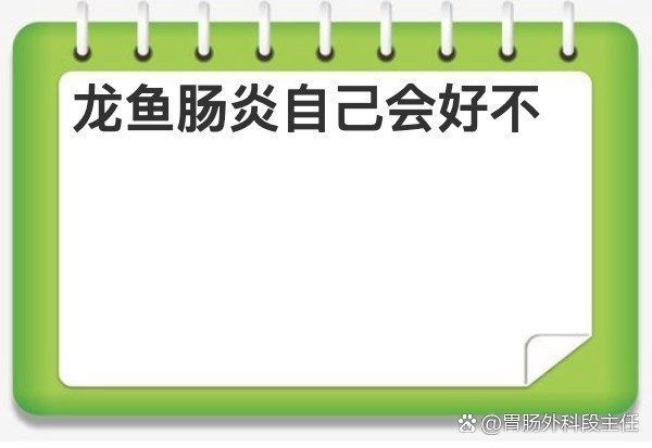 哪些癥狀表明龍魚患有腸炎？，如何分辨龍魚患有腸炎