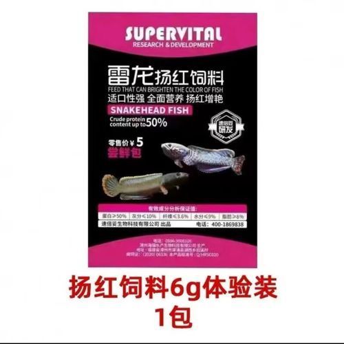 有哪些餌料適合雷龍魚