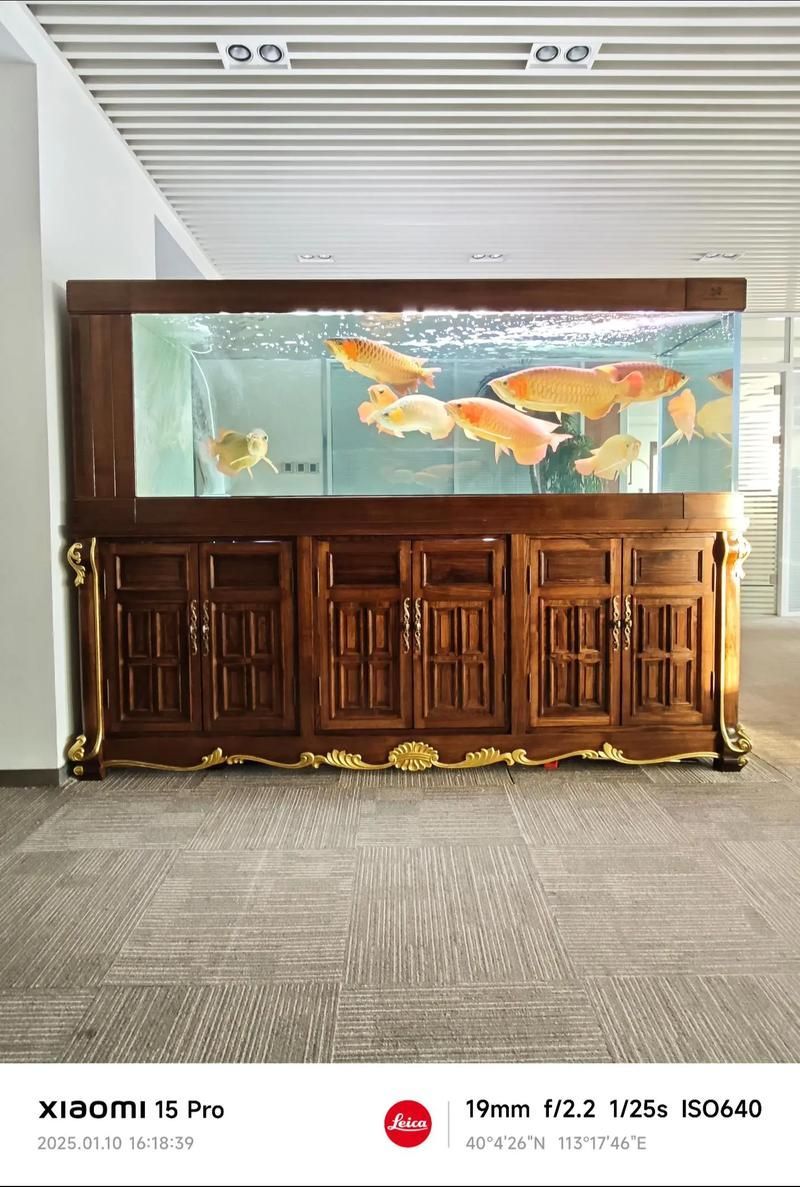 久鼎龍魚缸的材質有哪些，久鼎魚缸的材質