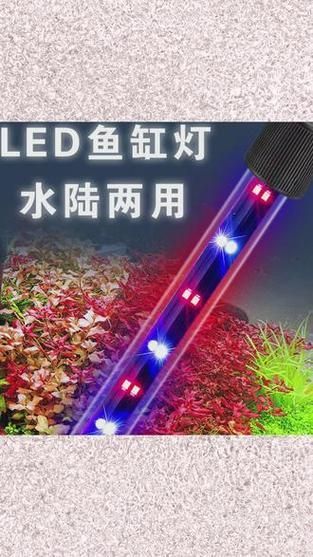 給我推薦幾款祥龍魚場風格的水族燈，祥龍魚場風格水族燈怎么樣？