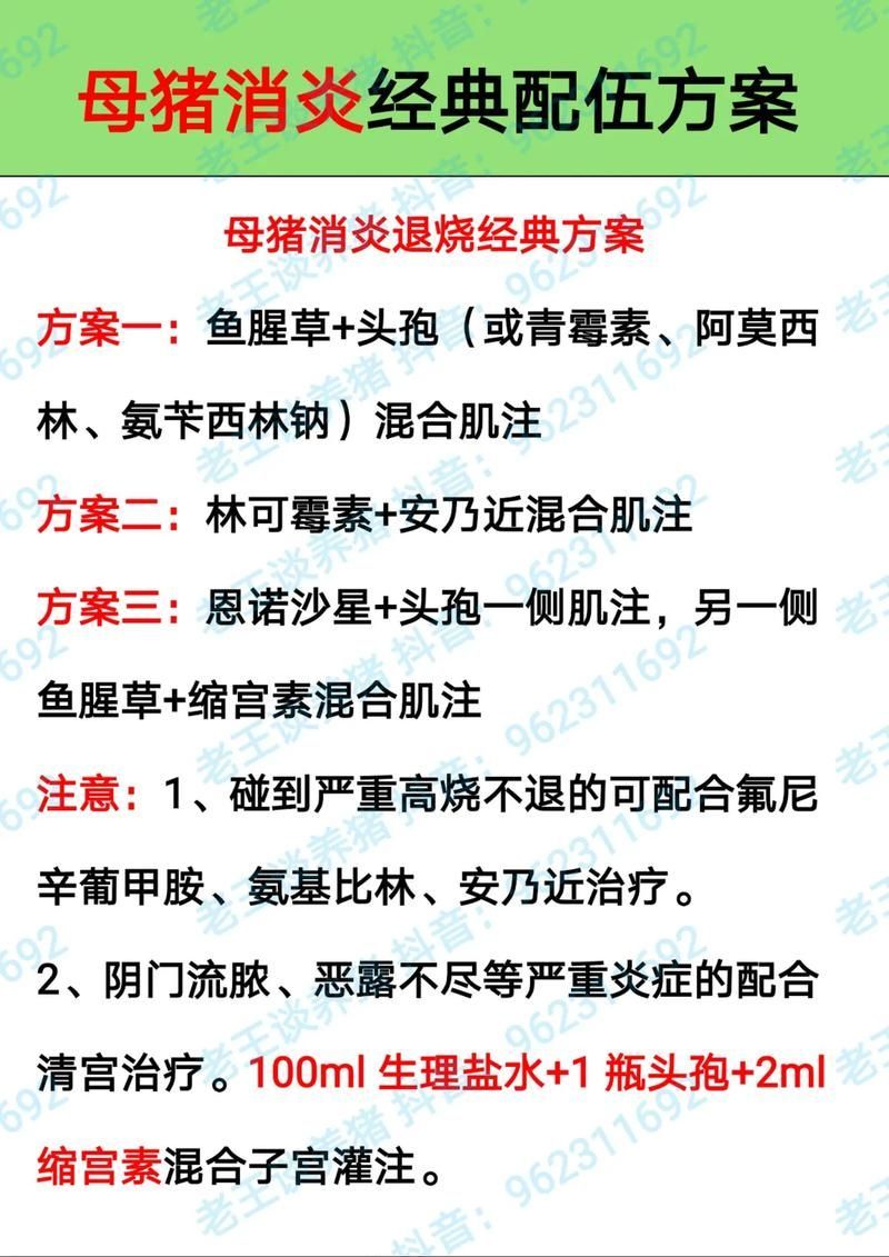 能否提供更多藥物治療方案的圖片，藥物治療方案圖片可以展開嗎？