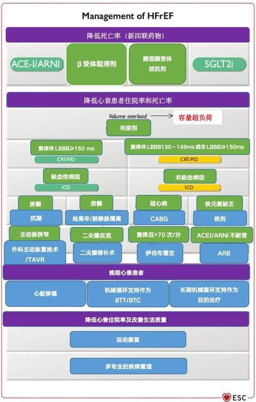 能否提供更多藥物治療方案的圖片，藥物治療方案圖片可以展開嗎？