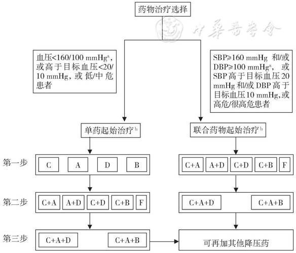 能否提供更多藥物治療方案的圖片，藥物治療方案圖片可以展開嗎？