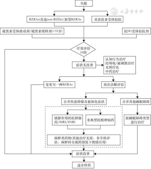 能否提供更多藥物治療方案的圖片，藥物治療方案圖片可以展開嗎？
