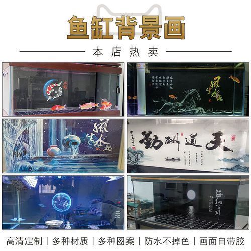 過背金龍魚缸背景貼紙推薦，過背金龍魚缸背景貼紙推薦調用工具百度優選展開