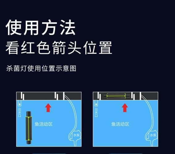 如何預防魚被細菌感染，如何科學預防魚類細菌感染