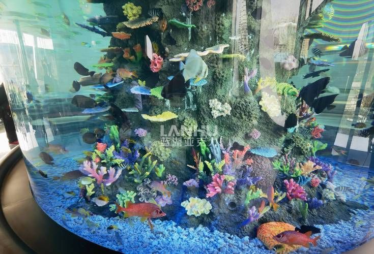 如何預防魚被細菌感染，如何科學預防魚類細菌感染