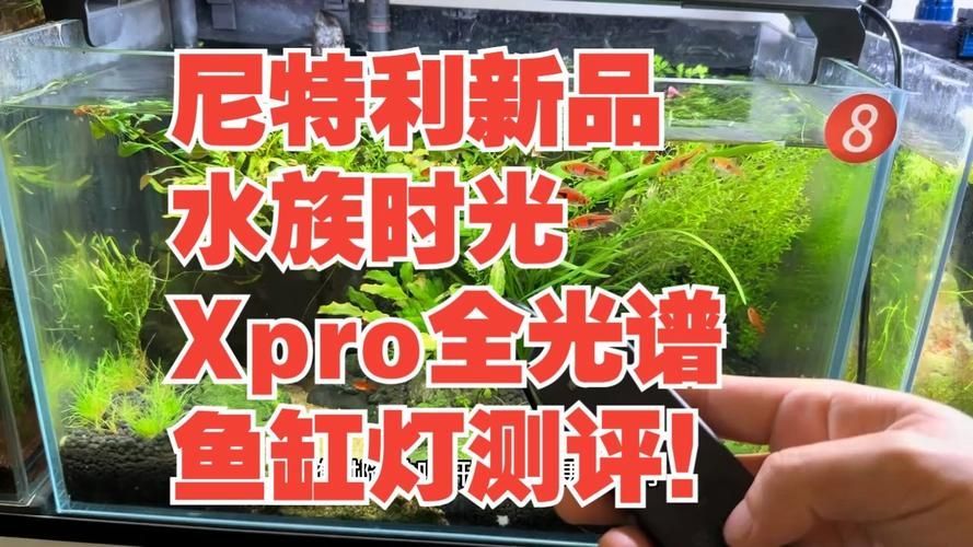 哪個品牌的魚缸燈評價最好？，哪個品牌的魚缸燈評價最好