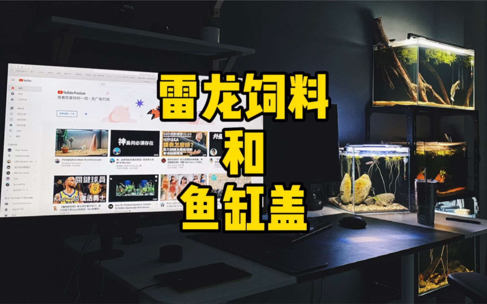 給我推薦一些適合龍魚的人工飼料，幾種適合龍魚的人工飼料推薦