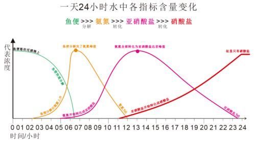 如何判斷魚缸是否恢復，如何判斷魚缸恢復