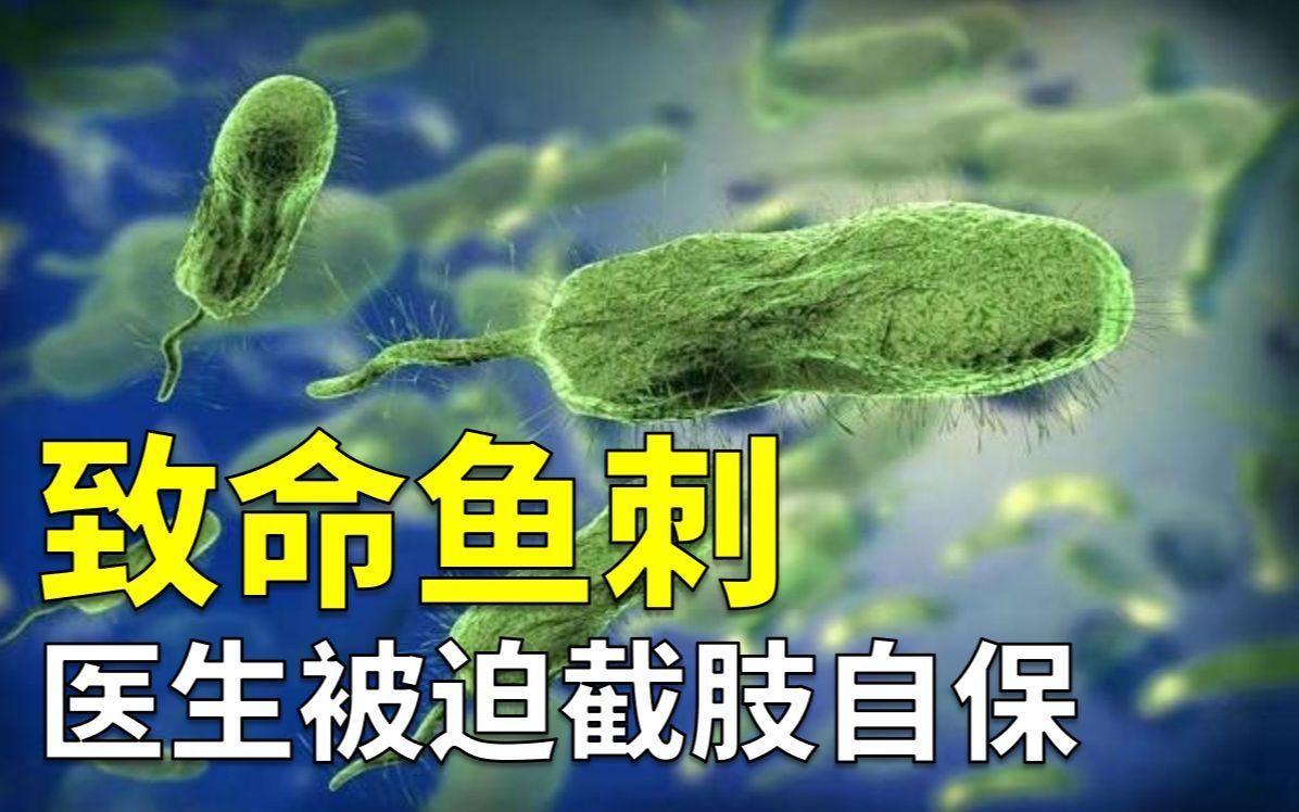 哪種海水細菌感染最致命，哪種海水再用碘伏感染最致命