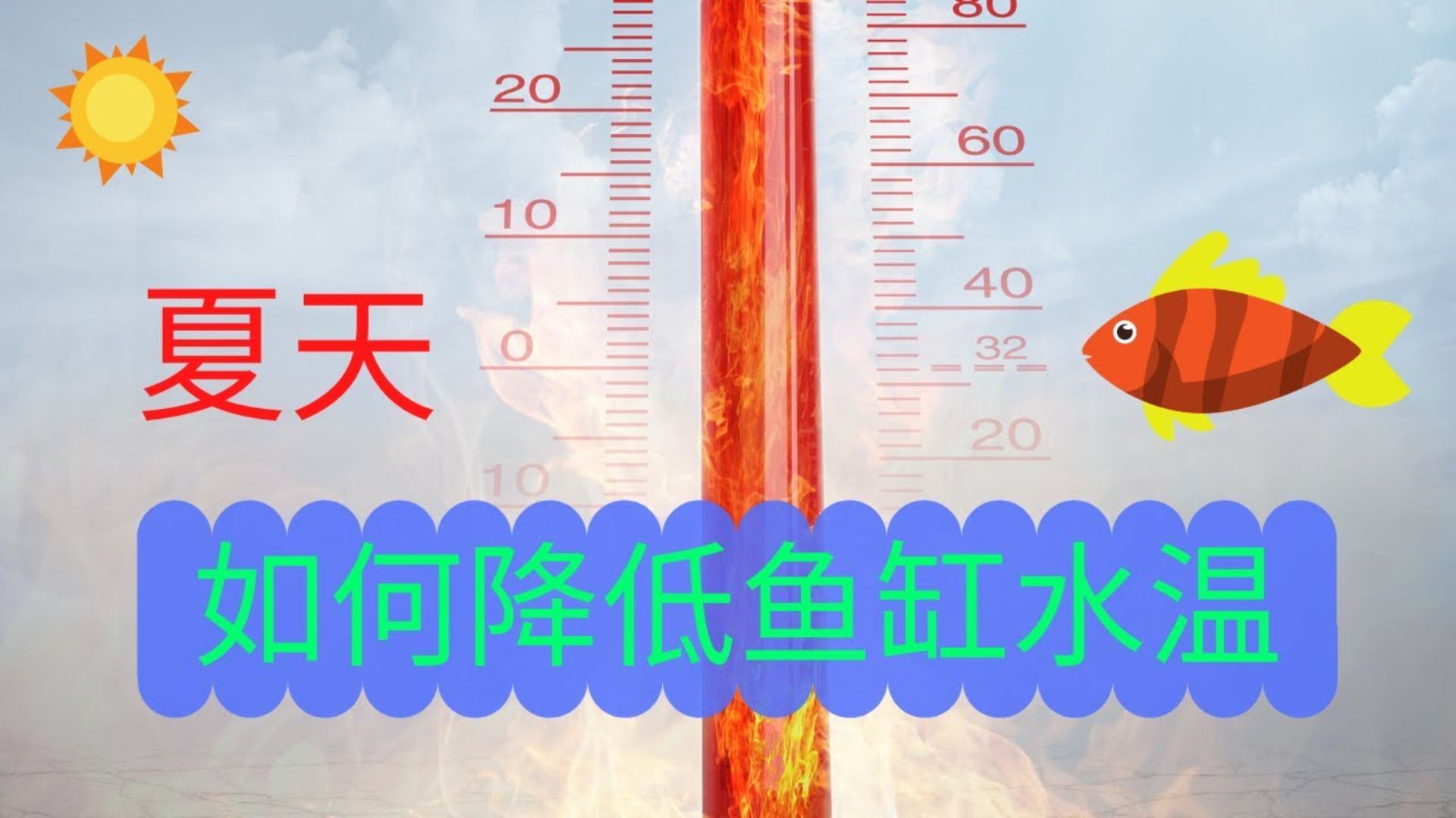有哪些方法可以緊急降低魚缸水溫？，夏天魚缸緊急降溫5大妙招讓魚兒舒適過夏漫影小孫