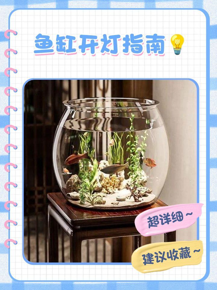 如何調整龍魚夜間照明強度，如何調整龍魚夜間照明強度？