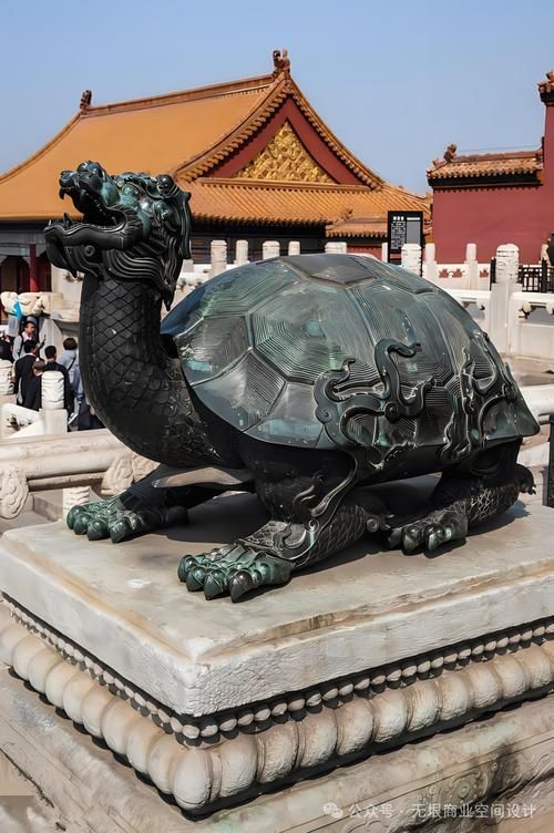 有沒有龍龜的圖片大全,龍龜圖片大全