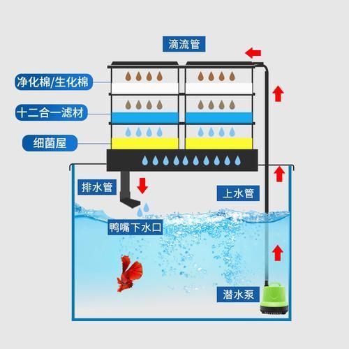 魚缸過濾系統如何安裝和調整，魚缸過濾系統如何安裝與調整