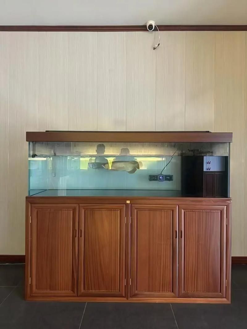 祥龍魚場有哪些主流的魚缸型號？，祥龍魚場主流魚缸型號