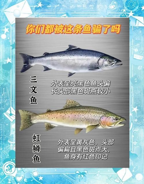 如何預防魚尾鰭充血，如何預防魚尾充血