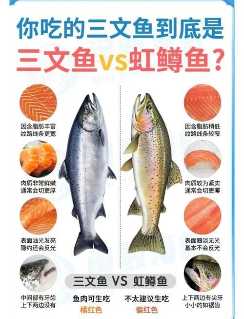 如何預防魚尾鰭充血，如何預防魚尾充血