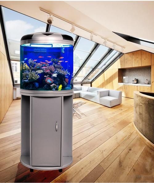 閩江魚缸有哪些型號推薦？，閩江魚缸型號推薦