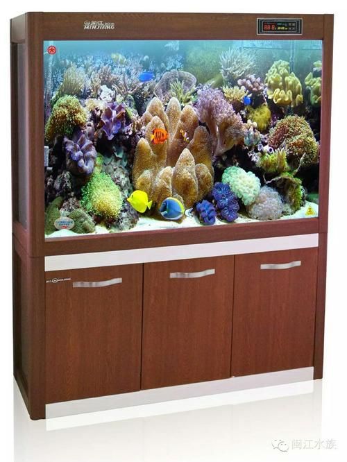 閩江魚缸有哪些型號推薦？，閩江魚缸型號推薦