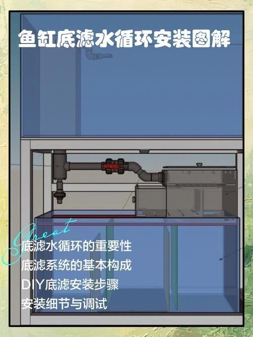 如何配置龍魚養殖設備，關于龍魚養殖設備選擇