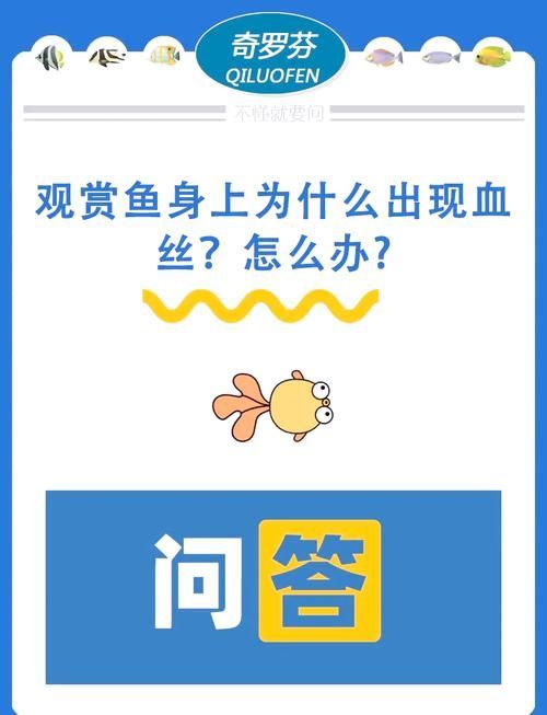 給我一些預(yù)防魚充血的圖片，如何預(yù)防魚充血