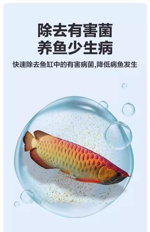 給我一些預(yù)防魚充血的圖片，如何預(yù)防魚充血