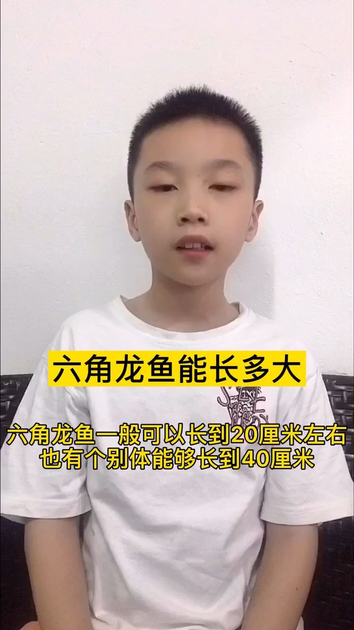 六角龍魚可以養多大？，六角龍魚多久換一次水,