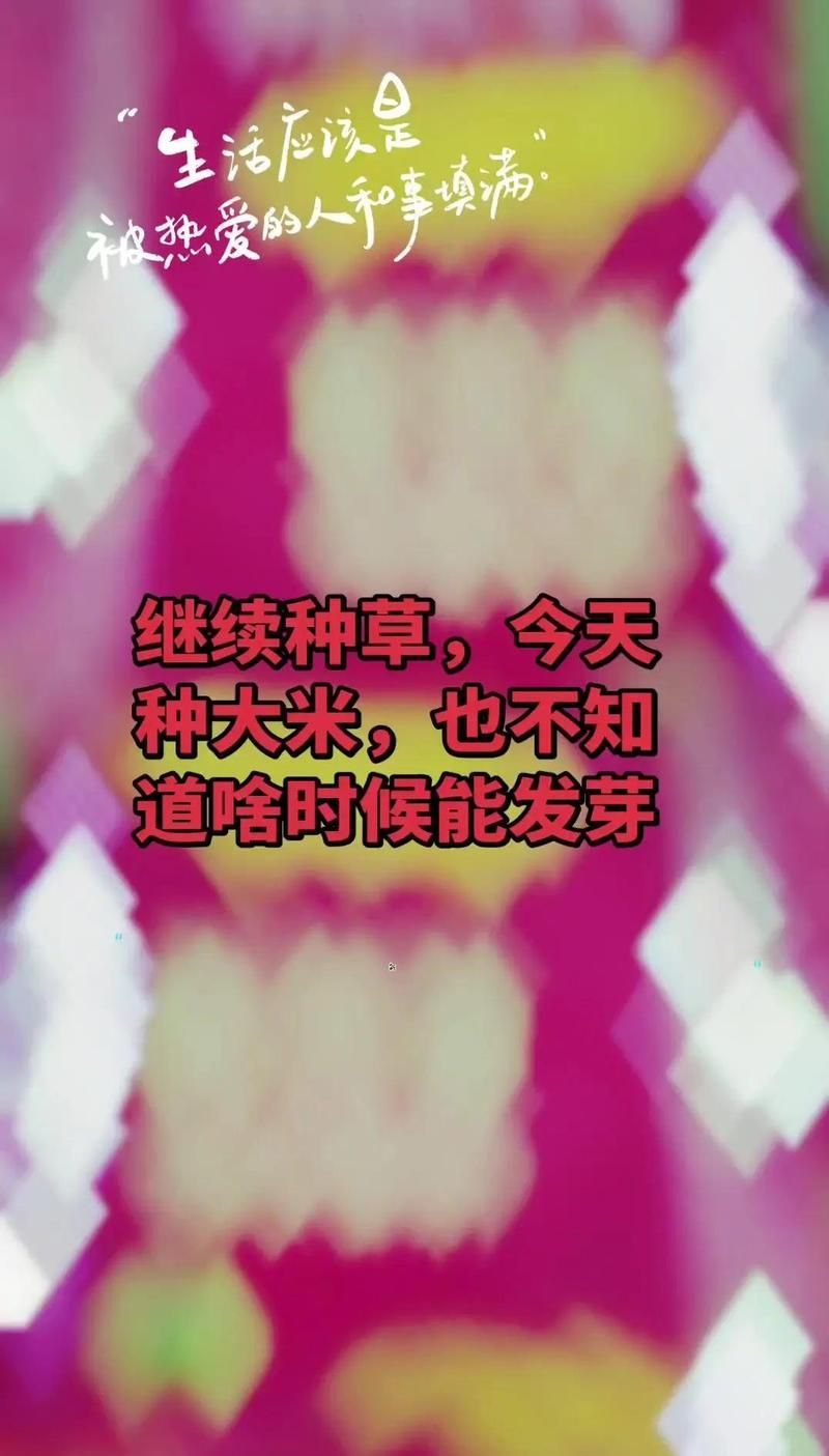 消費者對金龍魚米有何評價