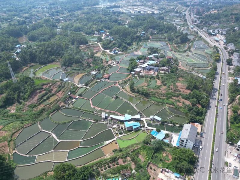 南開大學與龍魚產業有何關聯？，南開大學與龍魚產業之間的關聯主要體現在學術研究和人才培養方面