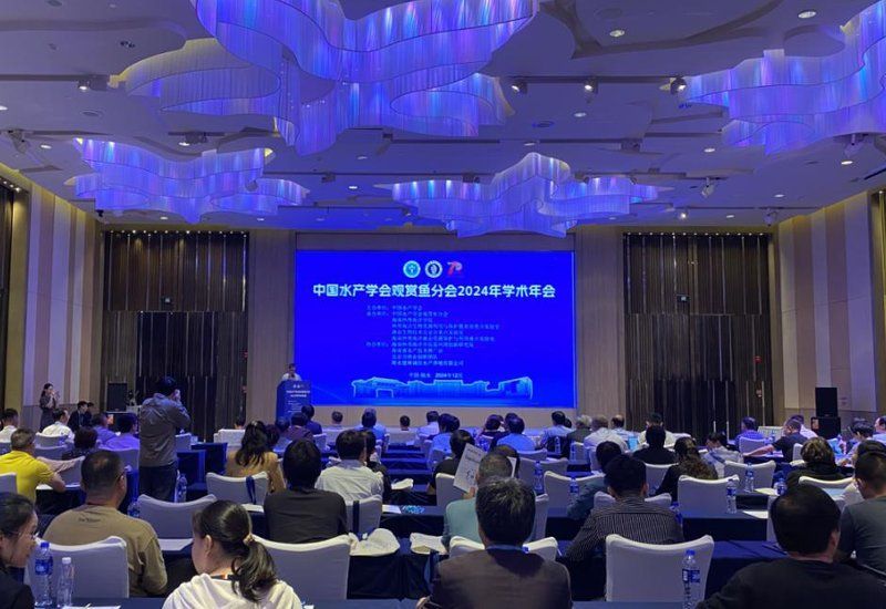 南開大學與龍魚產業有何關聯？，南開大學與龍魚產業之間的關聯主要體現在學術研究和人才培養方面