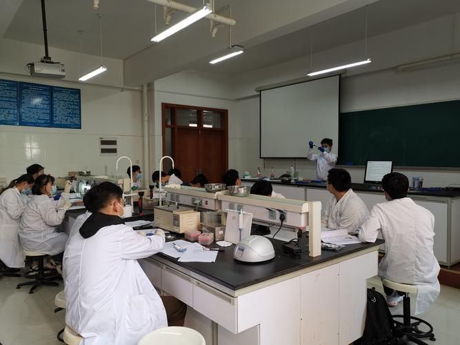 南開大學與龍魚產業有何關聯？，南開大學與龍魚產業之間的關聯主要體現在學術研究和人才培養方面