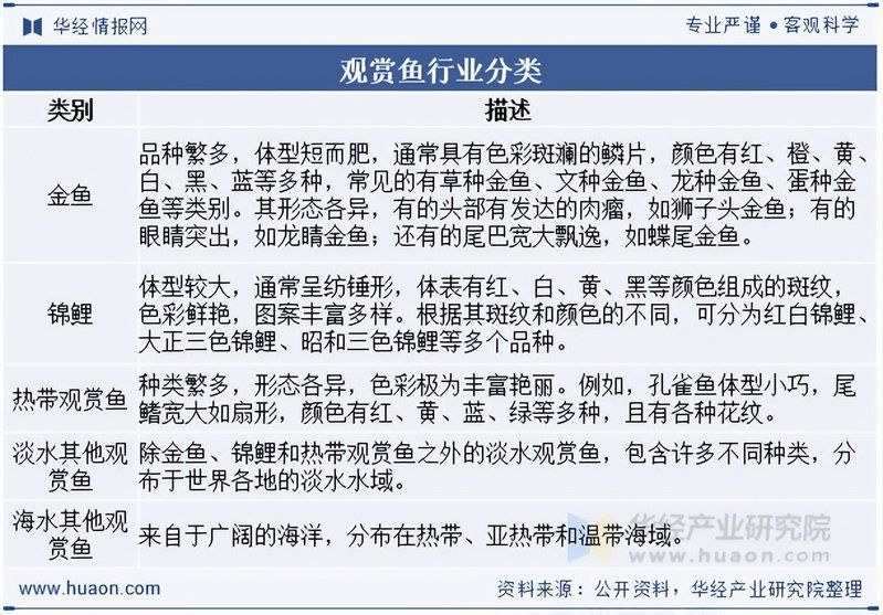 南開大學與龍魚產業有何關聯？，南開大學與龍魚產業之間的關聯主要體現在學術研究和人才培養方面