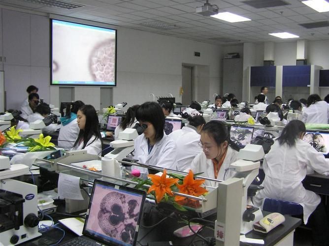 南開大學與龍魚產業有何關聯？，南開大學與龍魚產業之間的關聯主要體現在學術研究和人才培養方面