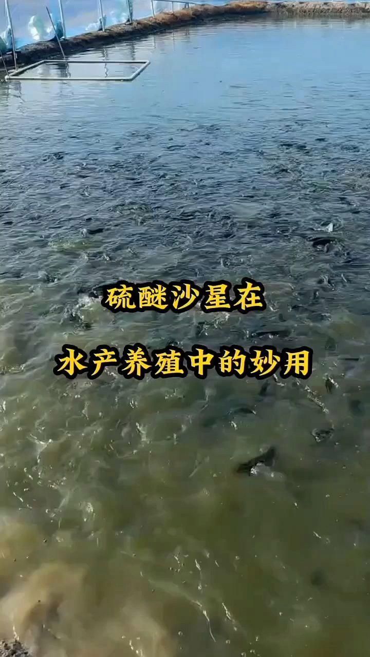 硫醚沙星和每水先鋒哪個更有效，硫醚沙星和每水先鋒哪個更安全