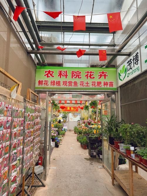 北京紅龍魚市場的開放時間是？，北京紅龍魚市場開放時間