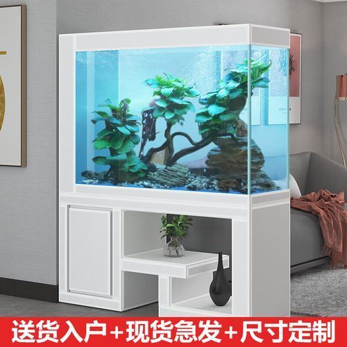 能再推薦幾款性價比高的龍魚設備嗎，性價比高的龍魚設備能再推薦幾款性價比高的龍魚設備