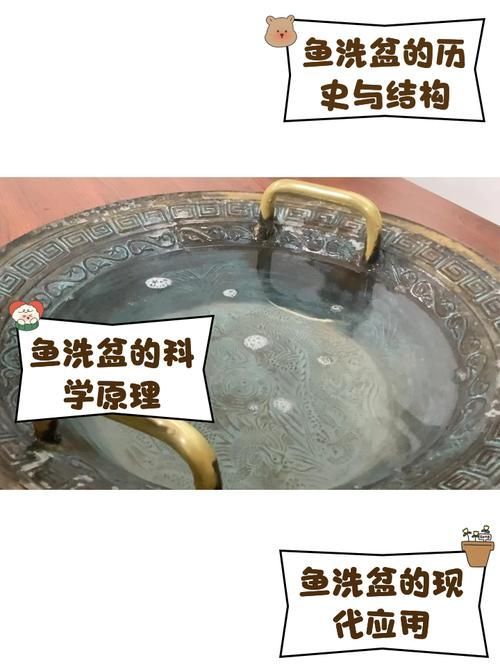 龍魚外寄治療期間需要注意什么，龍魚外寄治療期間需要注意什么思考完成調用工具百度健康-找醫生