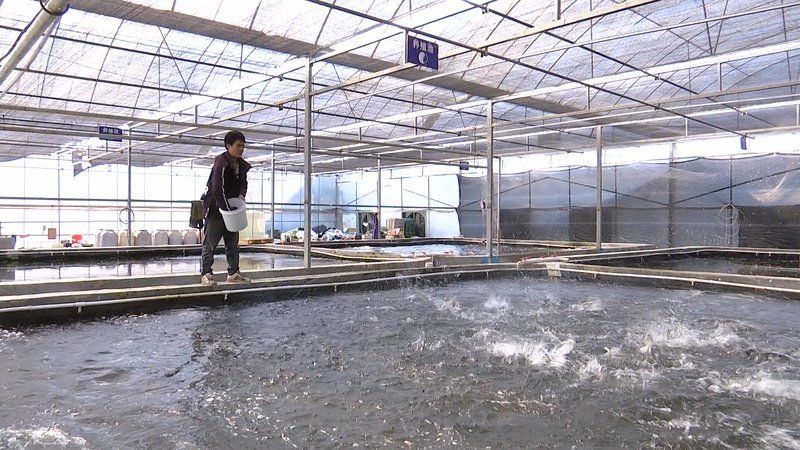 安龍縣水產養殖業未來發展規劃，安龍縣水產養殖業發展趨勢分析